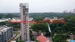 Fifteen Robin (D10), Condominium #93098582